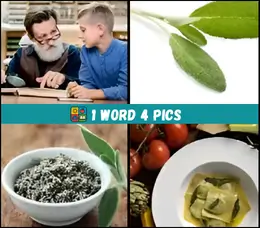four pics one word level 65 images
