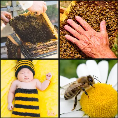 4 pics 1 word Daily puzzle November 3 2025