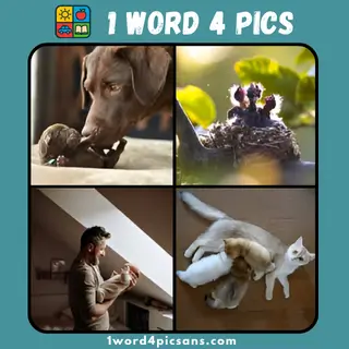 Four images from the 4 Pics 1 Word daily bonus puzzle