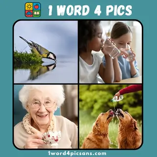 4 pics 1 word Daily puzzle January 18 2026
