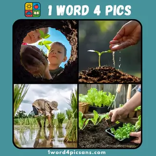 Four images from 4 Pics 1 Word daily puzzle